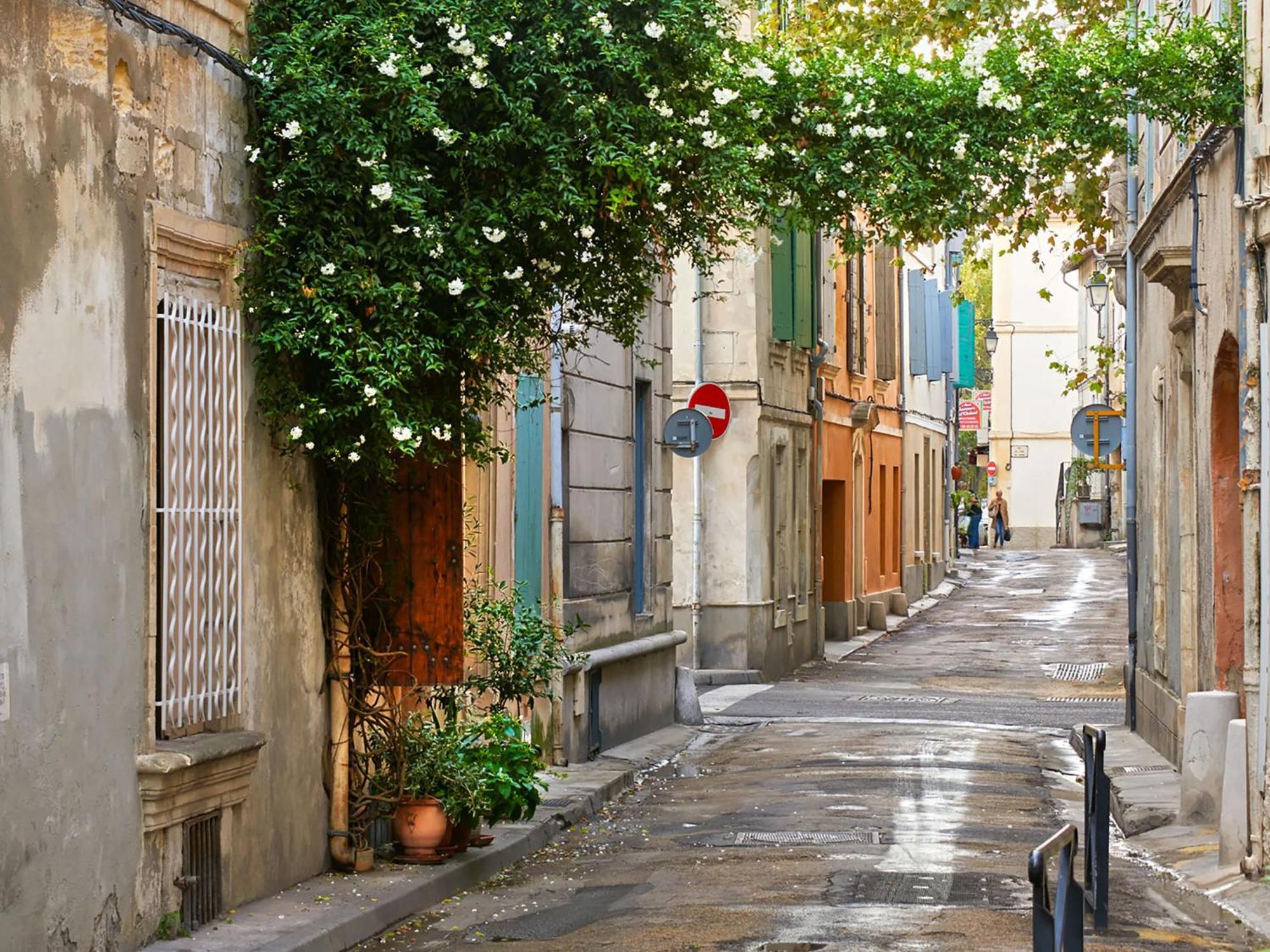 Hebergements Modernes & Cosy A Arles T3 Et T2 Elegants Εξωτερικό φωτογραφία